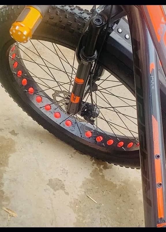 MORGAN FAT BIKE LUSH CONDITION 2