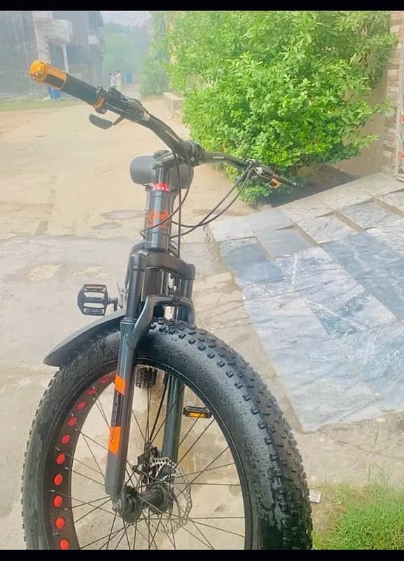 MORGAN FAT BIKE LUSH CONDITION 3