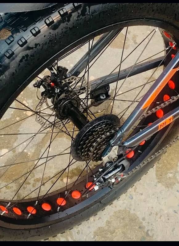 MORGAN FAT BIKE LUSH CONDITION 4