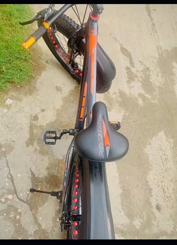 MORGAN FAT BIKE LUSH CONDITION 5