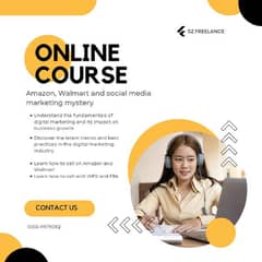 Amazon, Walmart and social media marketing online courses