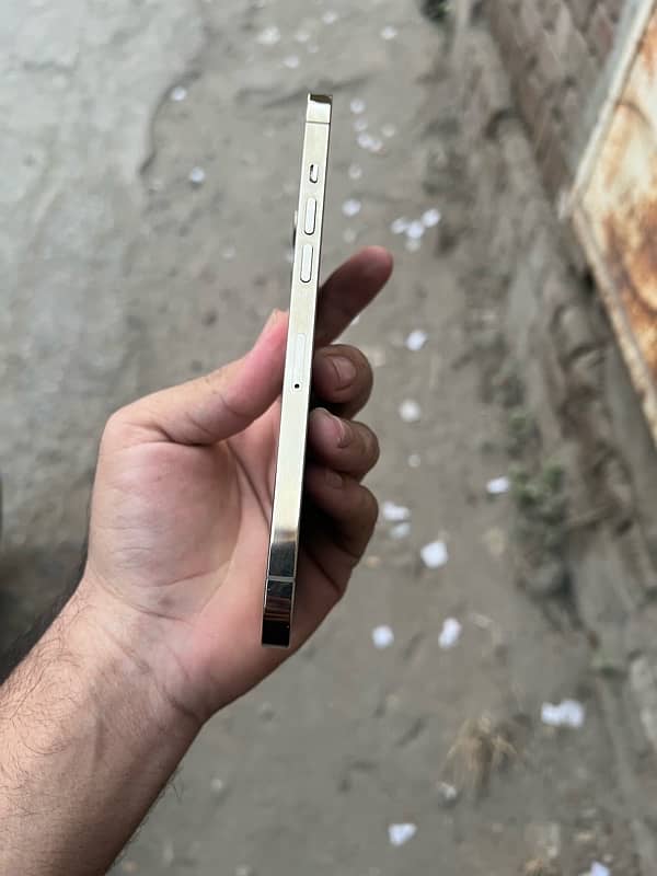 iphone 12pro max factory unlock gold clr 10/9.5 2