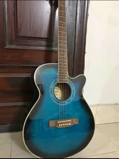 new guitar 1 month use