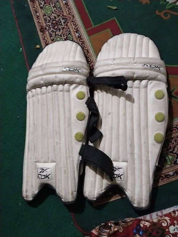 batting pads 2