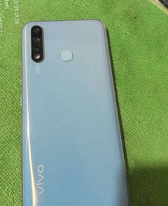 vivo