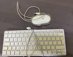 Apple Keyboard & USB Mouse