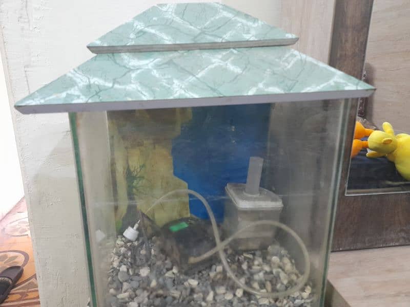 Aquarium with FREE accessories! 0