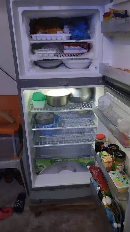 Dowlance Refrigerator 2