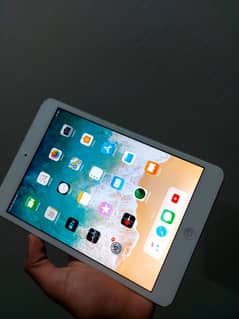 Ipad mini 2 16gb silver problem in screen