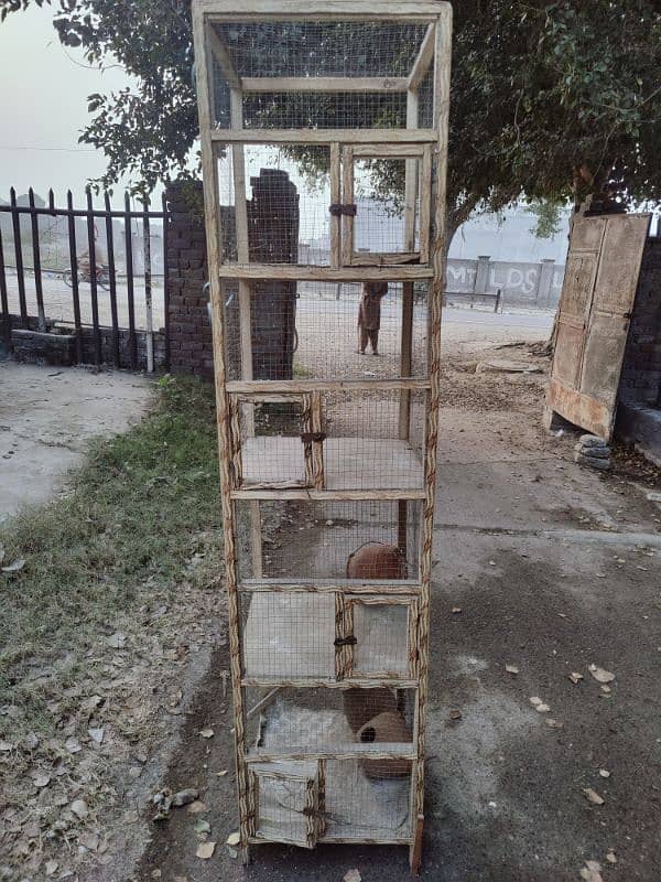 4 portion cage for parrots love bird's cocktail 3