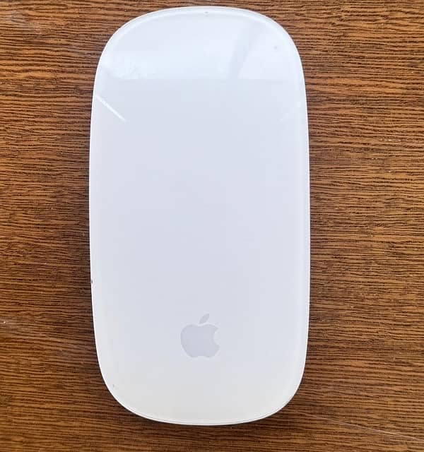 Apple Magic Mouse 1 0