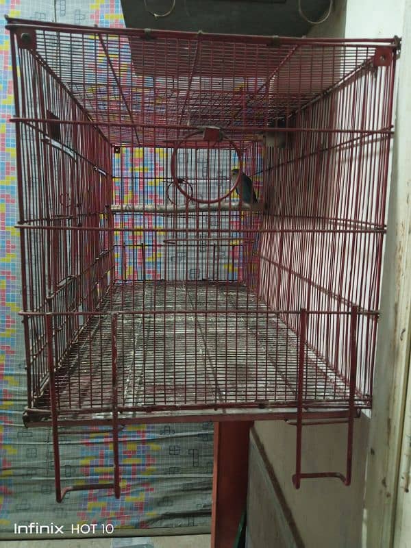 2 Portion cage for sale (Zarar Cage) 2