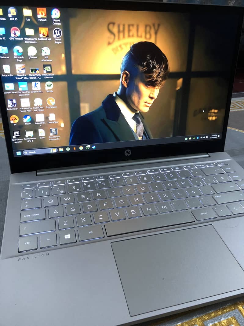 HP Pavilion 14 i5 11th MX350 2GB 3