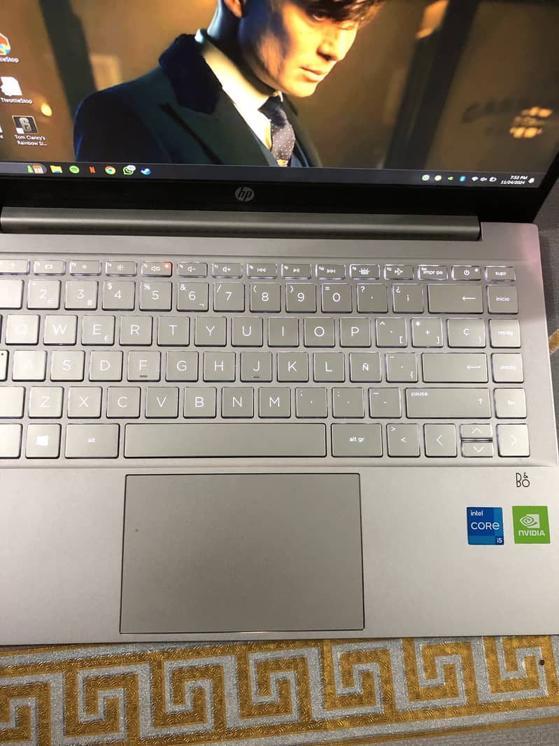 HP Pavilion 14 i5 11th MX350 2GB 10