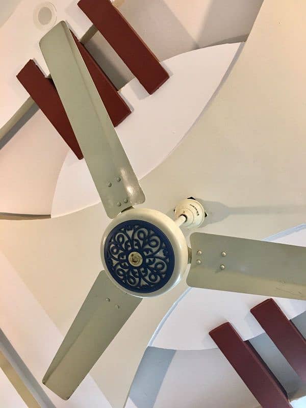 Orient Original fan 3