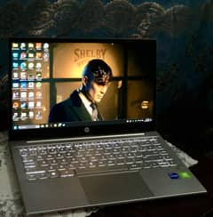 HP Pavilion 14 i5 11th MX350 2GB