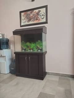 wooden fish aquarium for sell