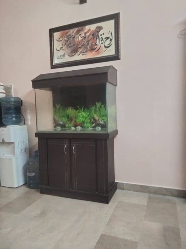 wooden fish aquarium for sell 0