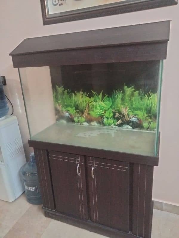 wooden fish aquarium for sell 1