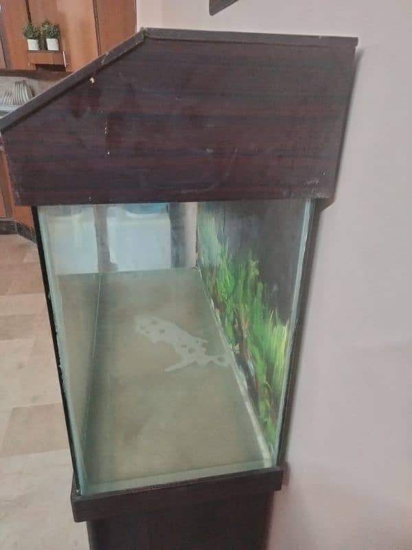 wooden fish aquarium for sell 3