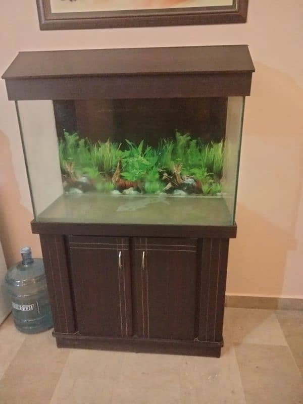 wooden fish aquarium for sell 6