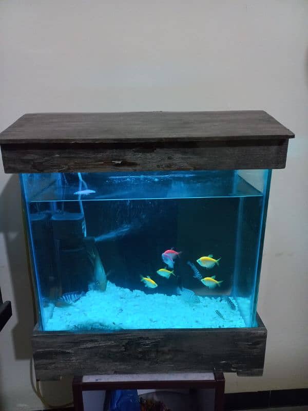 1.5 feet AQUARIUM with 10 small fish 1 parrot fish 6