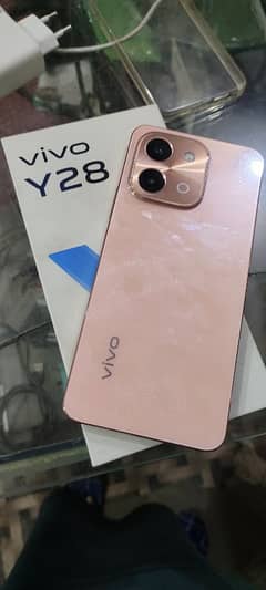 vivo