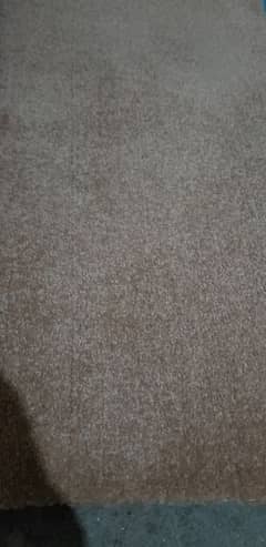 Carpet