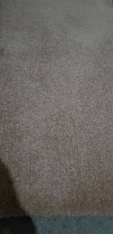 Carpet 0