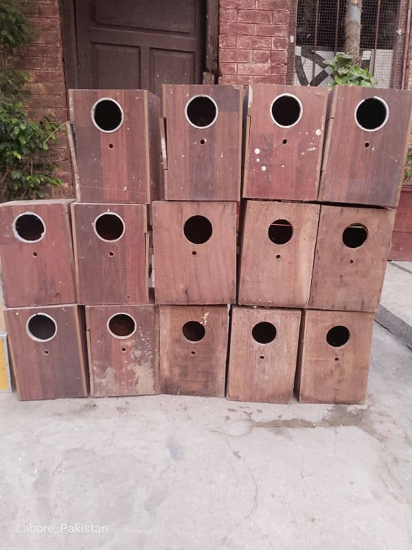 pinjara cage steel jali boxall  for sell 5