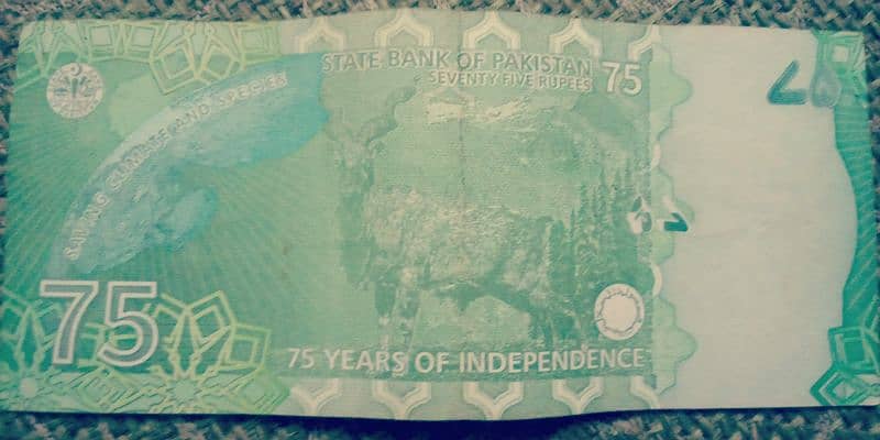 75 ruppee note of pakistan rare note 1