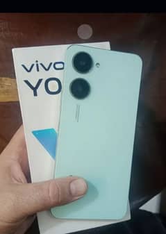 vivo