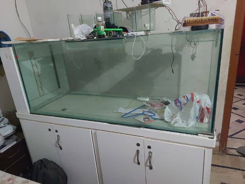 5 Fit aquarium  And American Chiclid for Sell 3