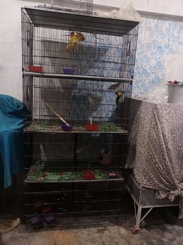 birds cage sale 0