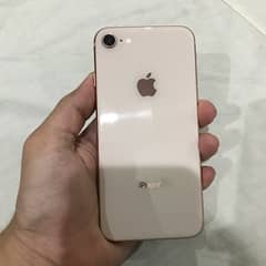 iPhone 8 pta approved