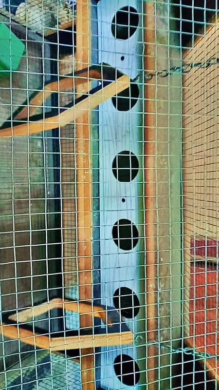 House style birds cage for sale 2