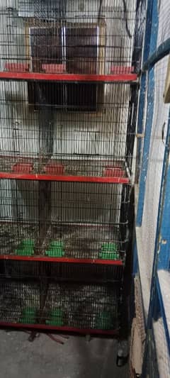 iron cage for sale