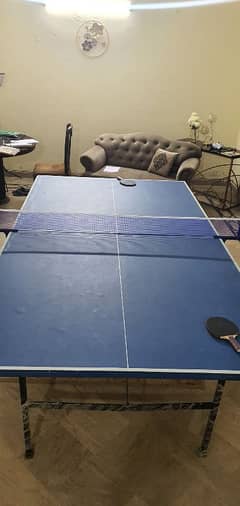 Large Size Foldable Table Tennis New Condition