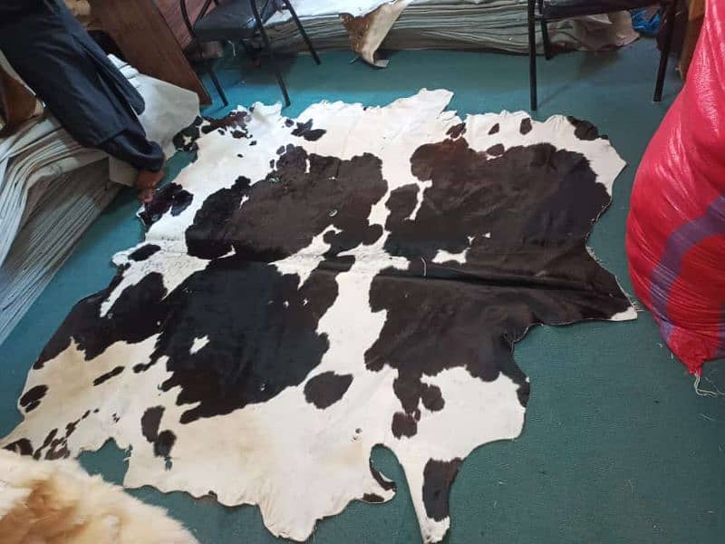 Cow hair on leather Rugs 1