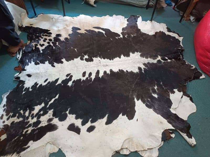 Cow hair on leather Rugs 2