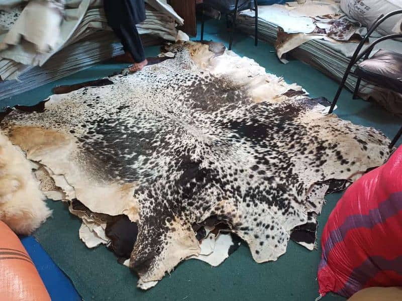 Cow hair on leather Rugs 3