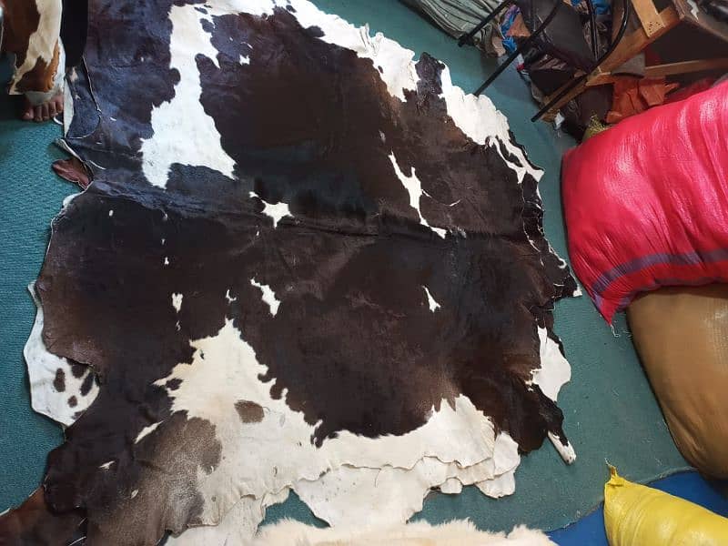 Cow hair on leather Rugs 5