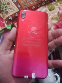 Vivo