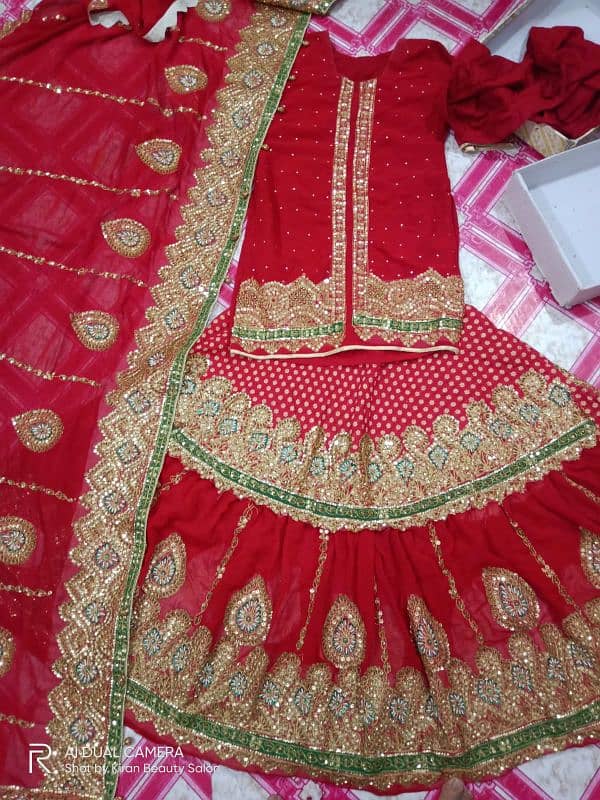 Indian bridal dress for sale 12