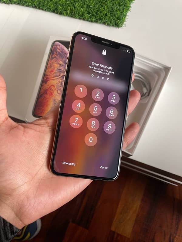 iPHONE XS MAX (256GB) PTA 2