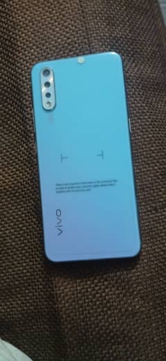 vivos1