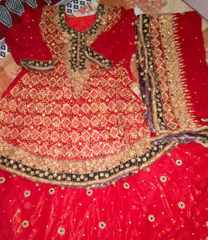 Bridal Dress (Choli Ghagra) 2