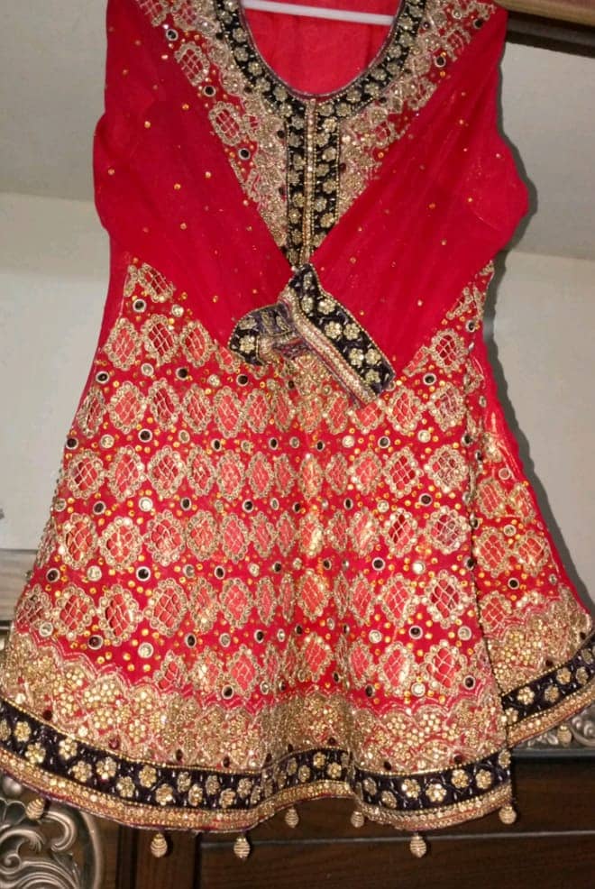 Bridal Dress (Choli Ghagra) 3