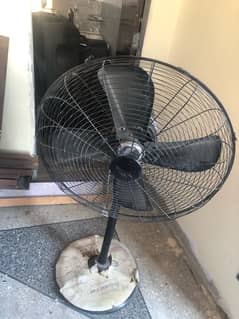 fan