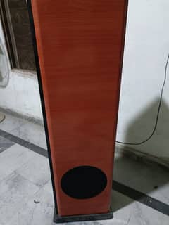 roizu speaker.